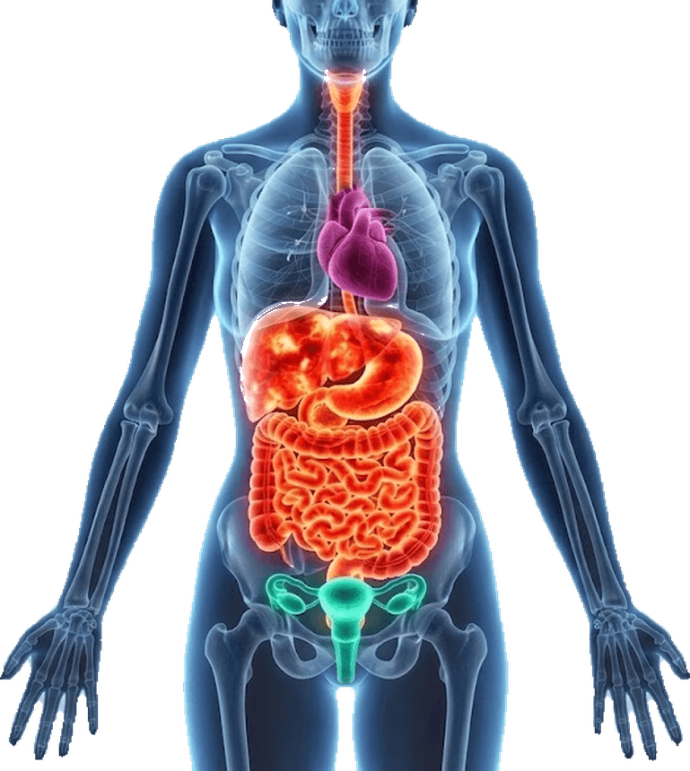 A human body showing internal systems and biomarker sources