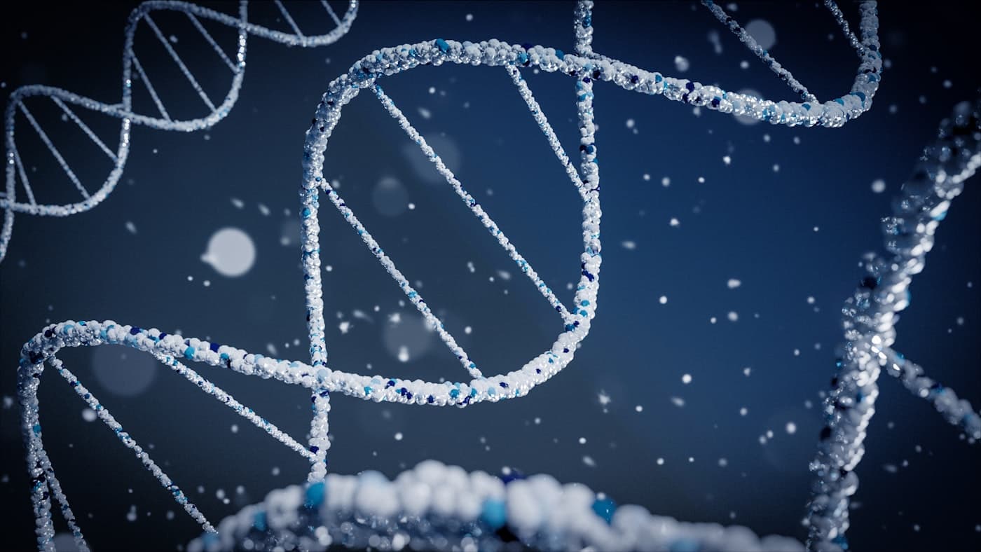 A zoomed-in view of a DNA double helix at the molecular level