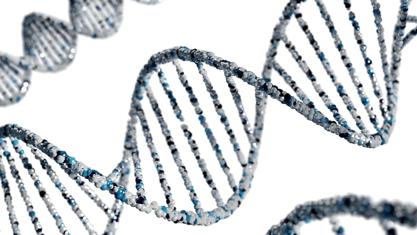A DNA double helix, your genetic blueprint