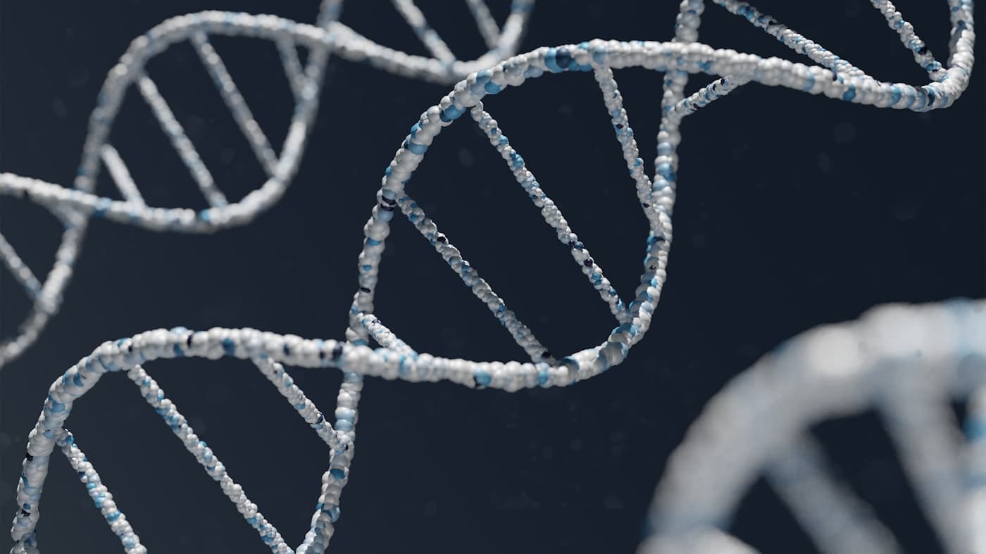 A DNA double helix, the foundation of the BioStack